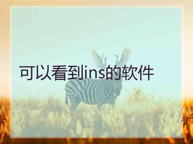 可以看到ins的软件