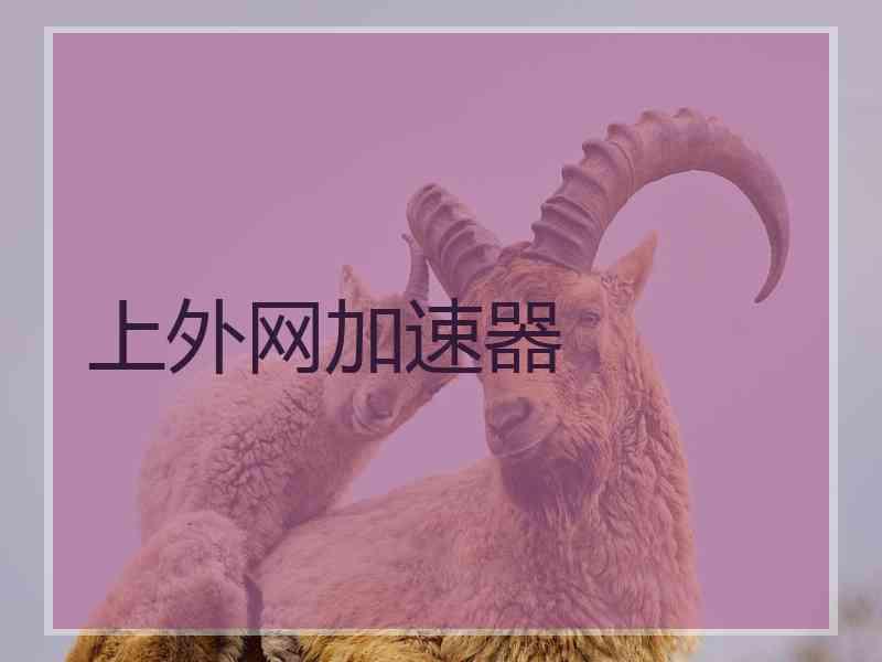 上外网加速器
