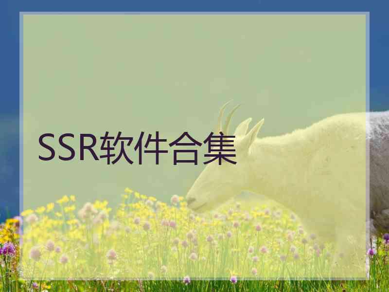 SSR软件合集