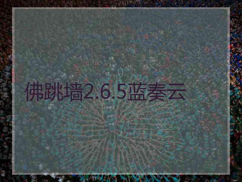 佛跳墙2.6.5蓝奏云