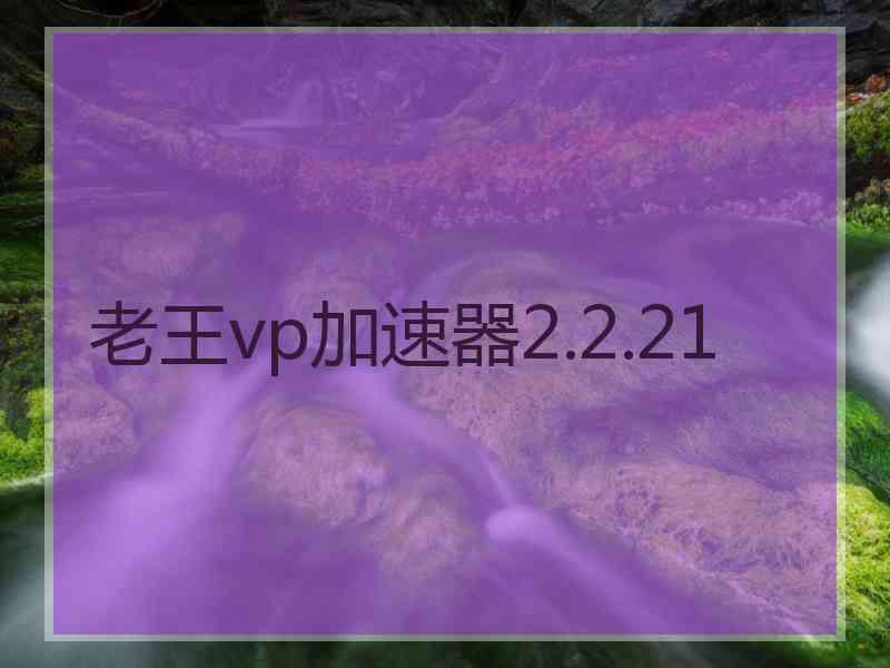 老王vp加速器2.2.21