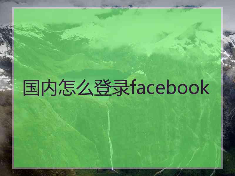 国内怎么登录facebook