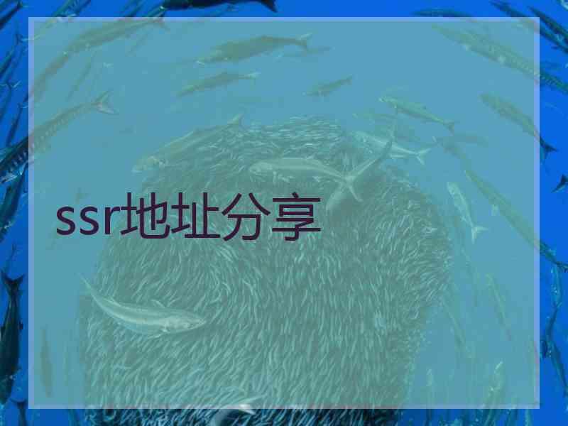 ssr地址分享