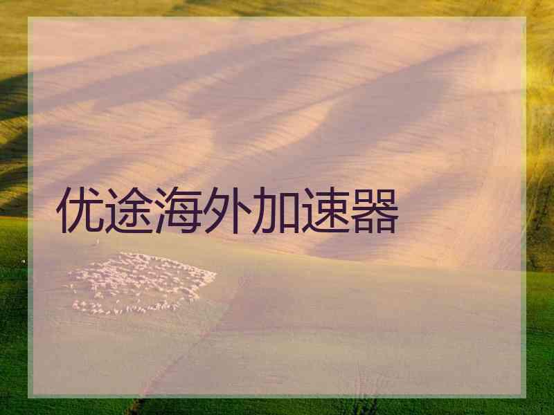优途海外加速器