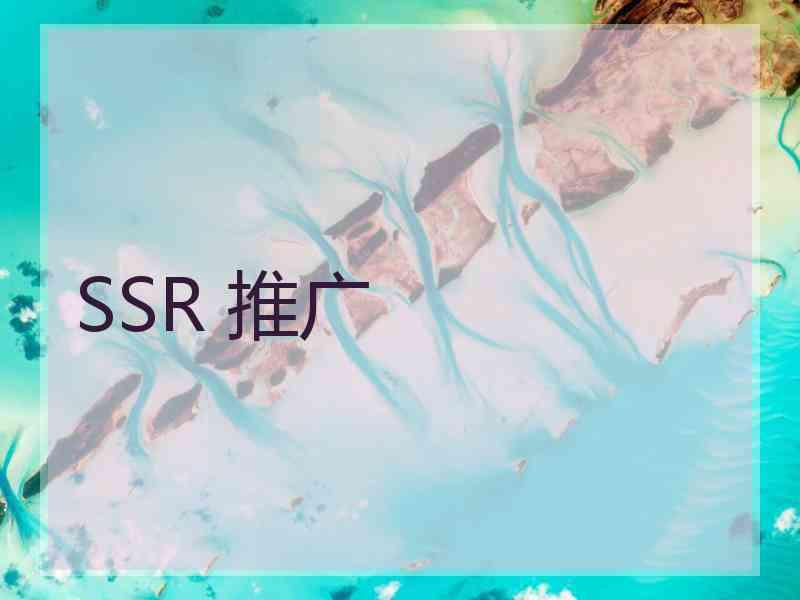 SSR 推广