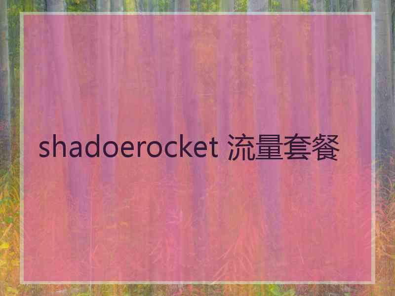 shadoerocket 流量套餐