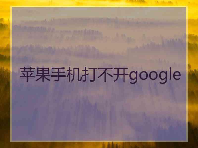 苹果手机打不开google