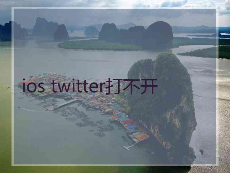 ios twitter打不开