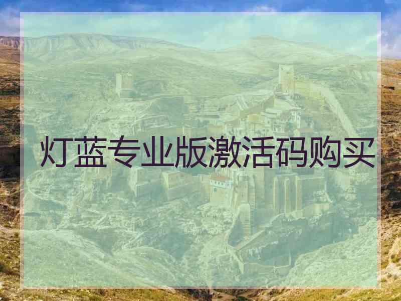 灯蓝专业版激活码购买