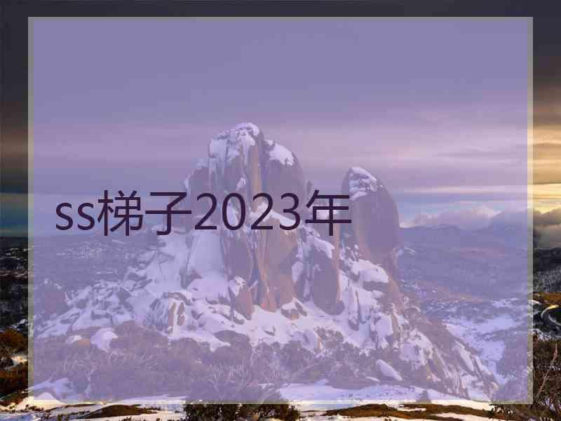 ss梯子2023年