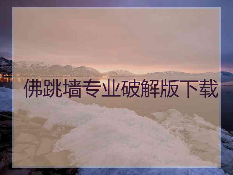 佛跳墙专业破解版下载