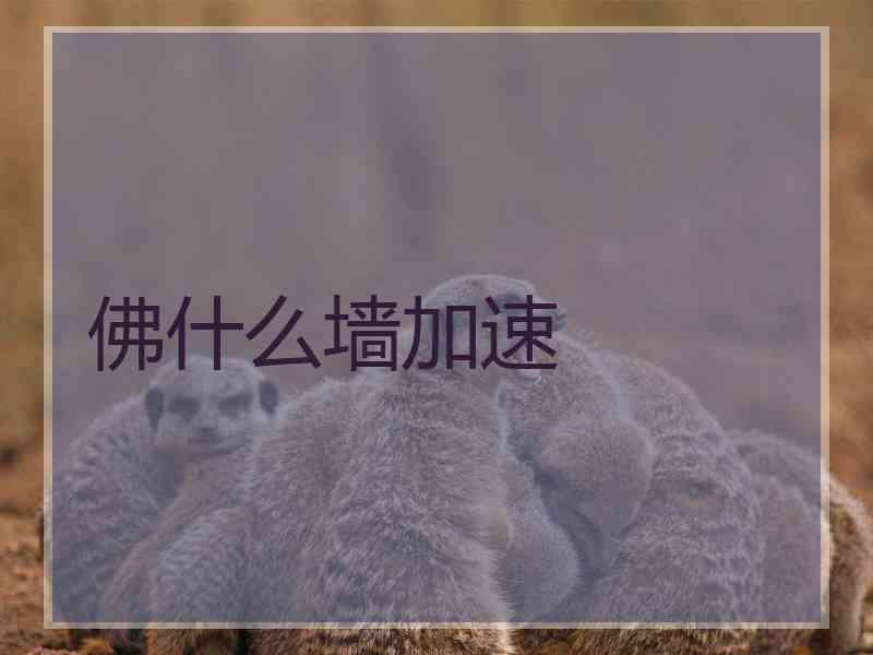 佛什么墙加速