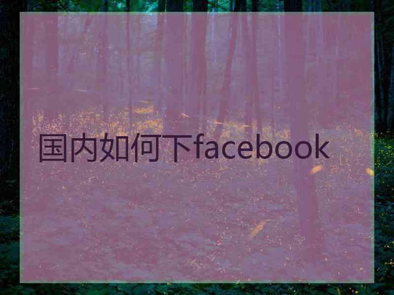 国内如何下facebook