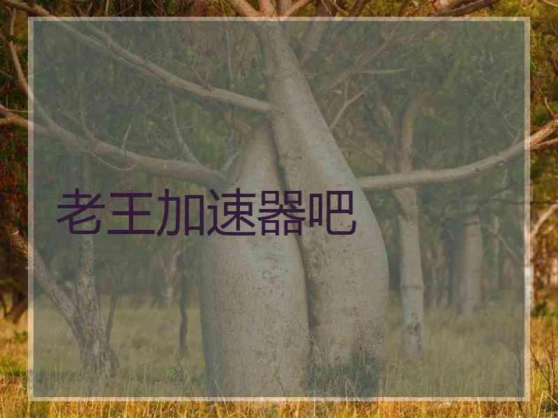 老王加速器吧
