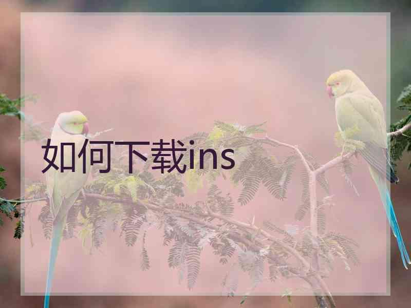 如何下载ins