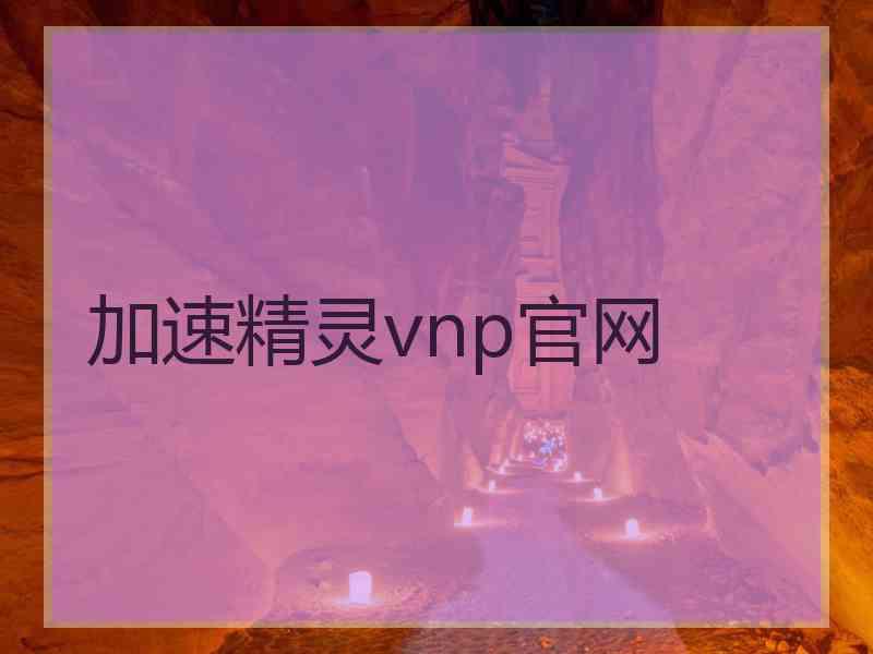 加速精灵vnp官网