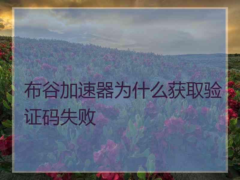 布谷加速器为什么获取验证码失败
