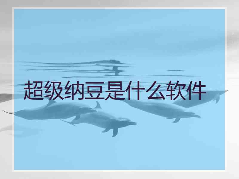 超级纳豆是什么软件