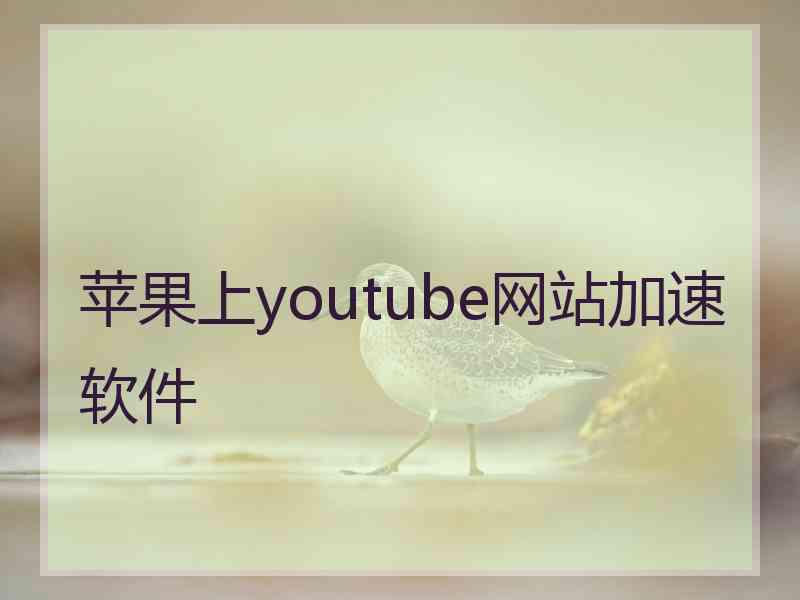 苹果上youtube网站加速软件