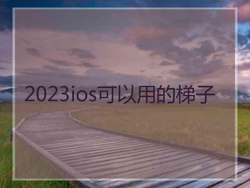 2023ios可以用的梯子