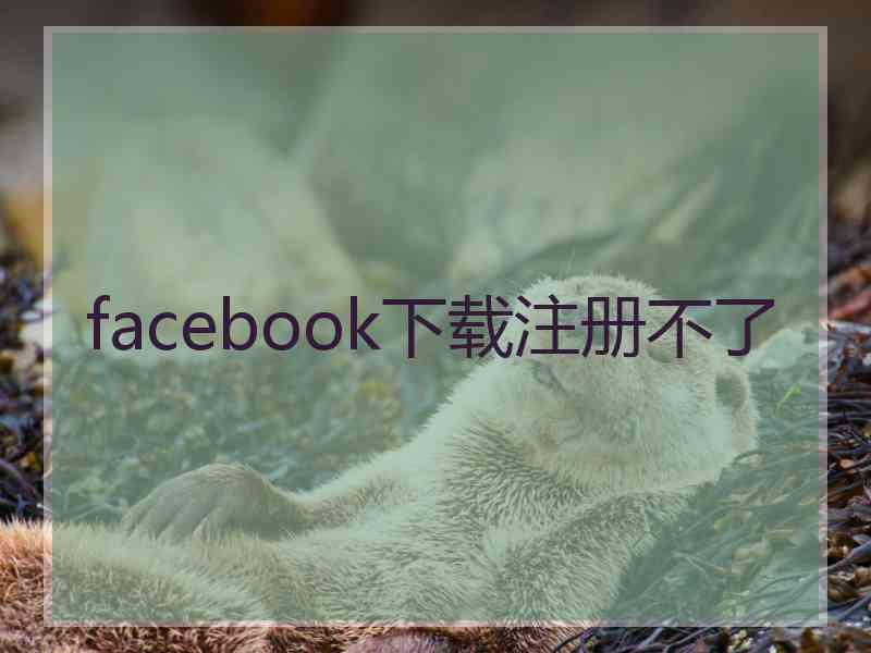 facebook下载注册不了