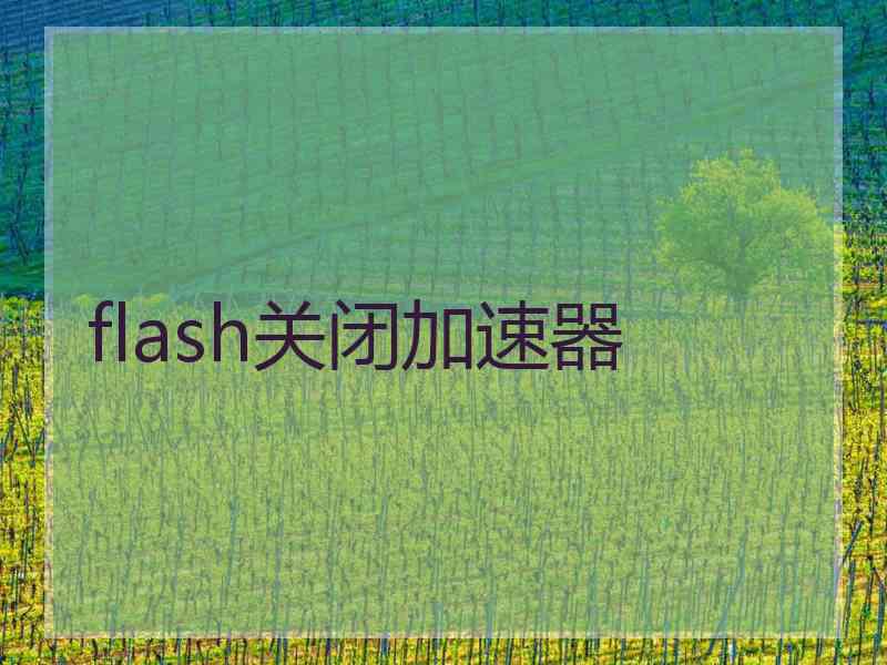 flash关闭加速器
