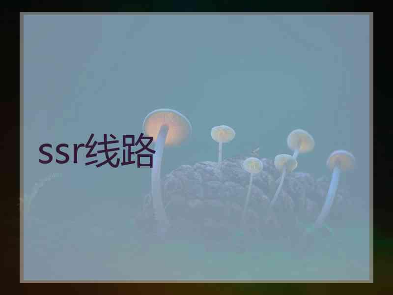ssr线路