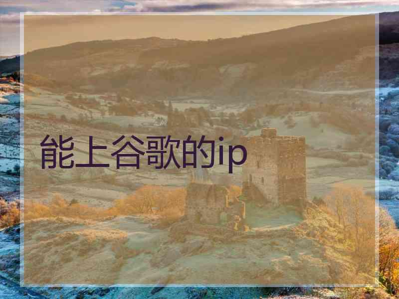 能上谷歌的ip