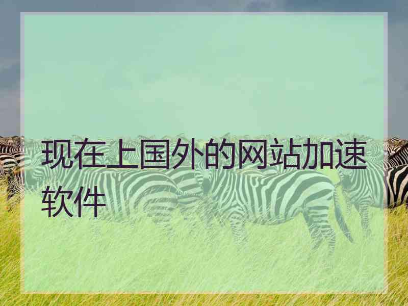 现在上国外的网站加速软件