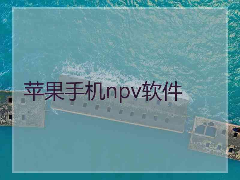 苹果手机npv软件