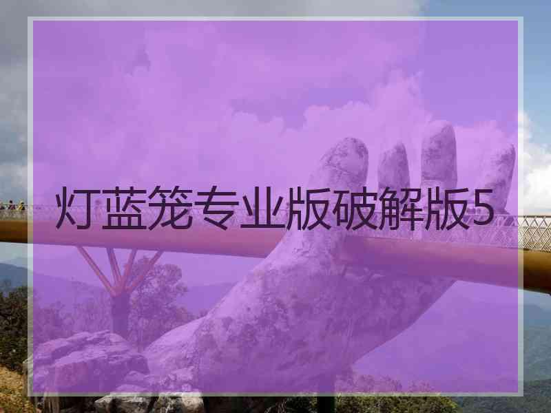灯蓝笼专业版破解版5