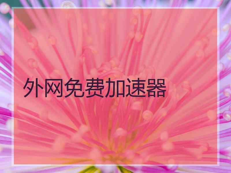 外网免费加速器