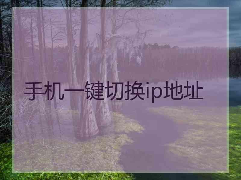手机一键切换ip地址