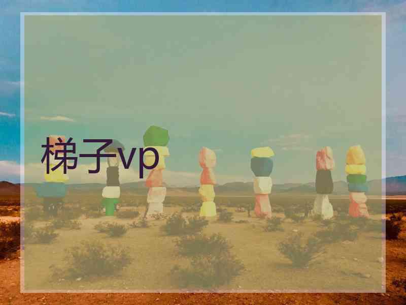 梯子vp