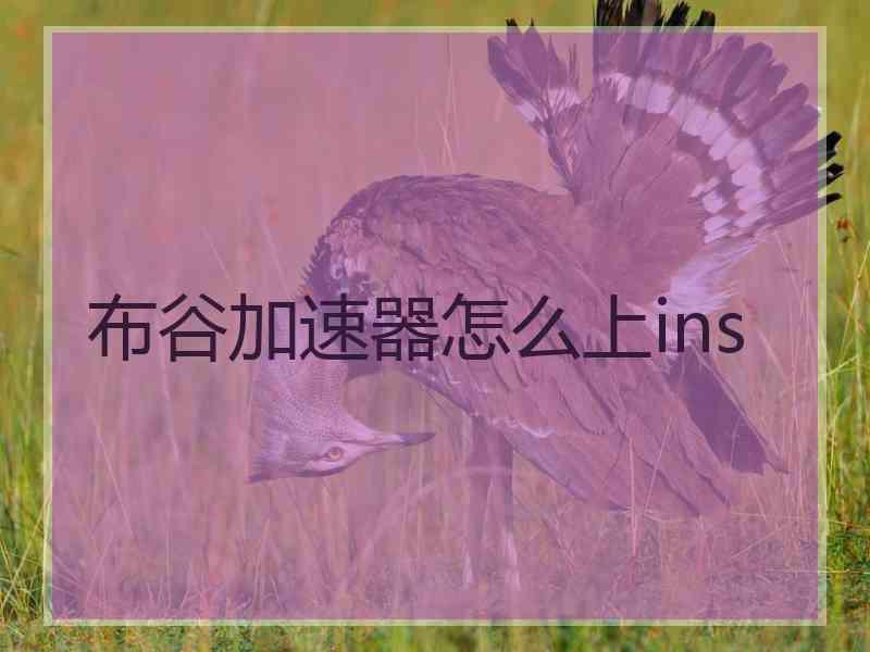 布谷加速器怎么上ins