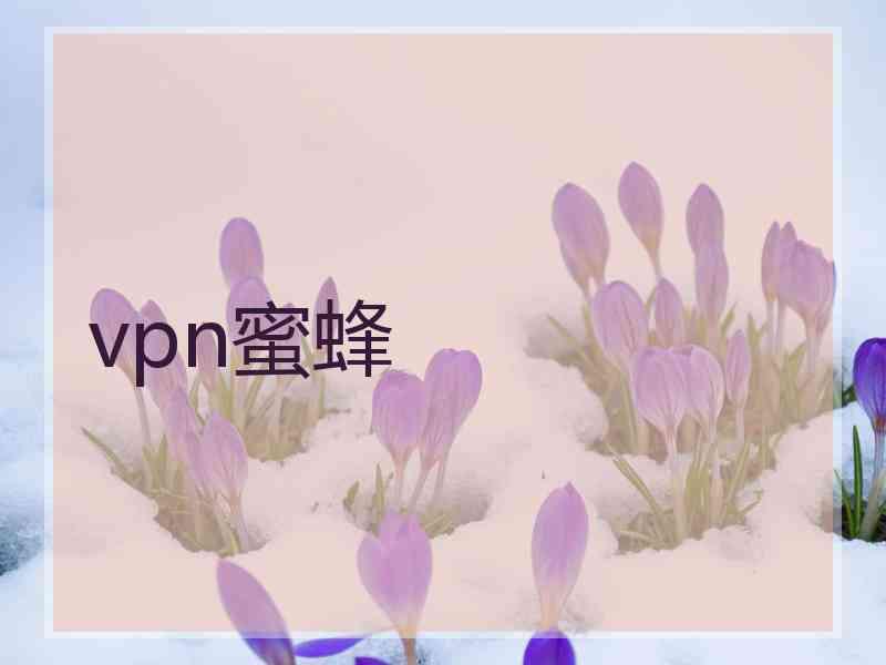 vpn蜜蜂
