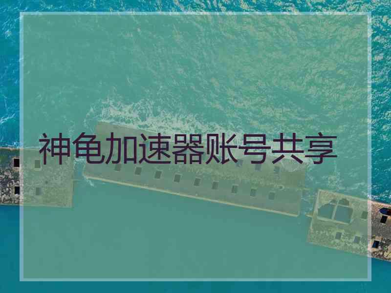神龟加速器账号共享