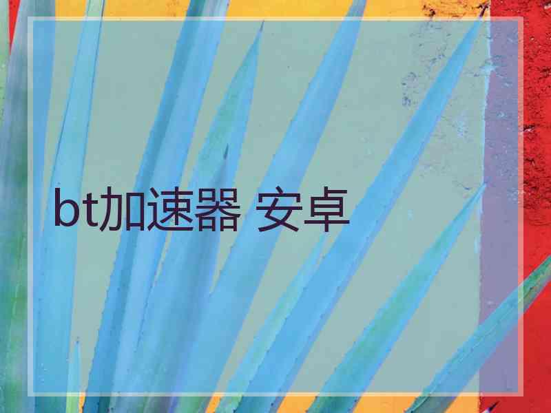 bt加速器 安卓