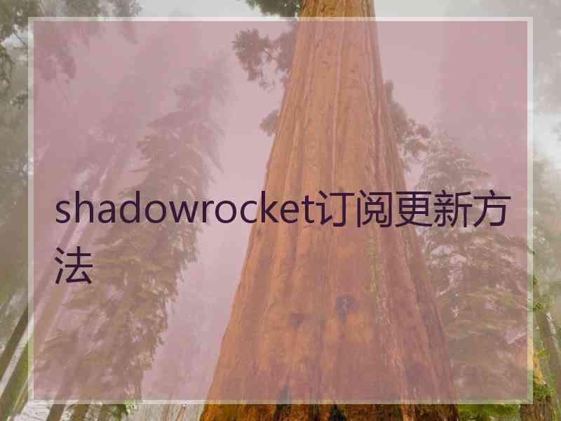 shadowrocket订阅更新方法