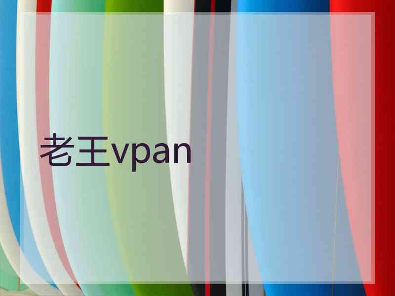 老王vpan