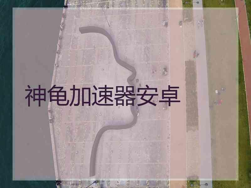 神龟加速器安卓