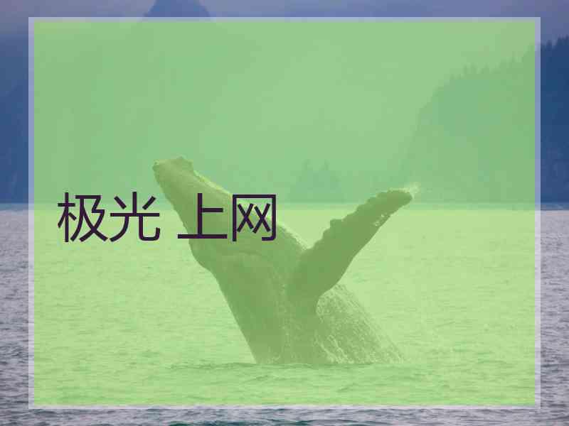 极光 上网