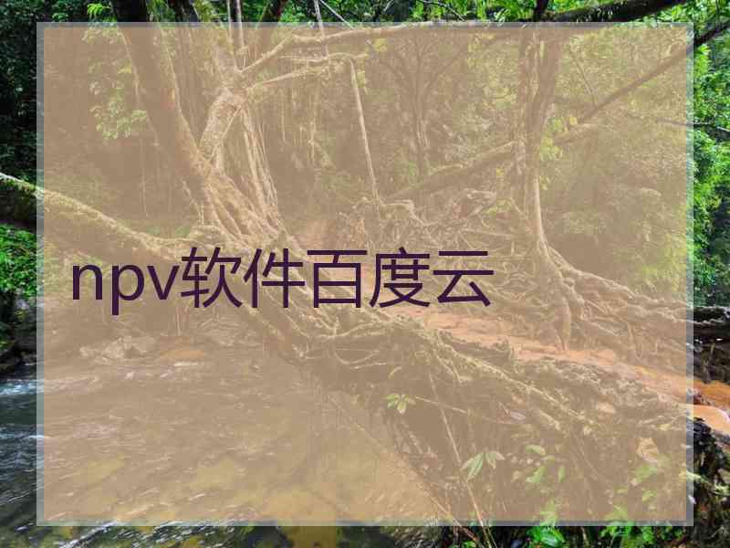 npv软件百度云