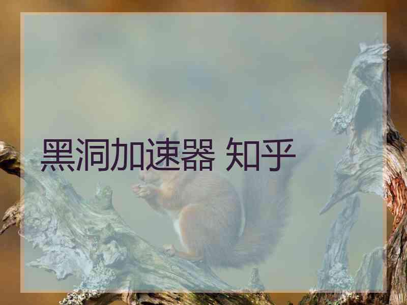 黑洞加速器 知乎