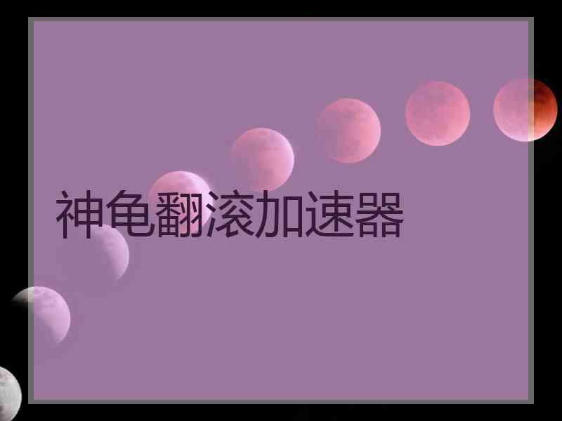 神龟翻滚加速器