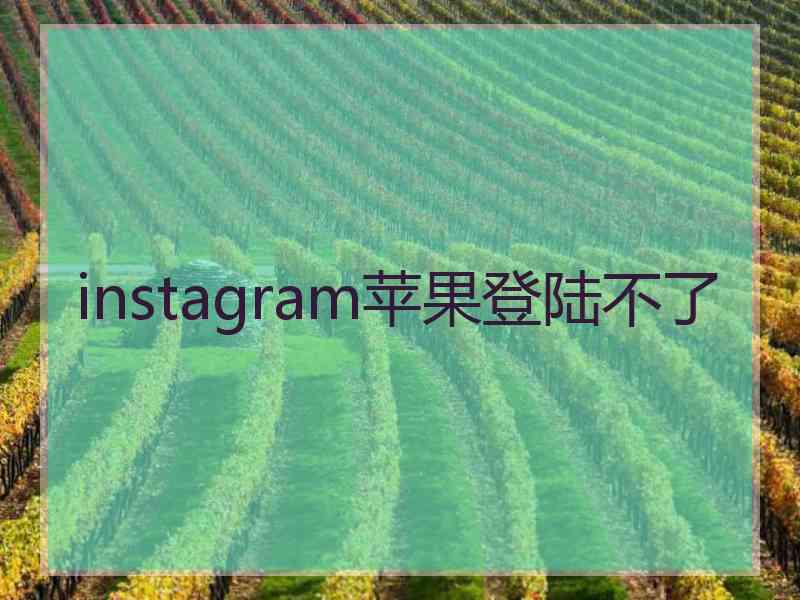 instagram苹果登陆不了