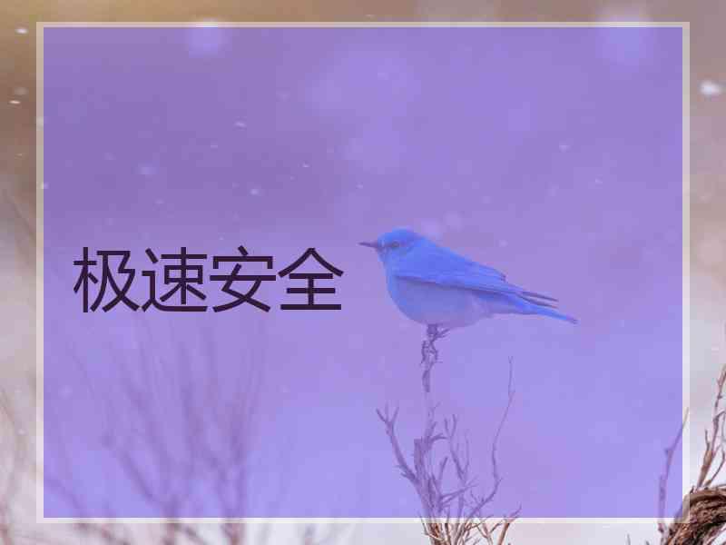极速安全