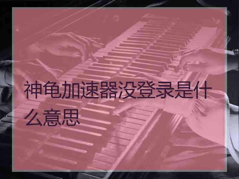 神龟加速器没登录是什么意思
