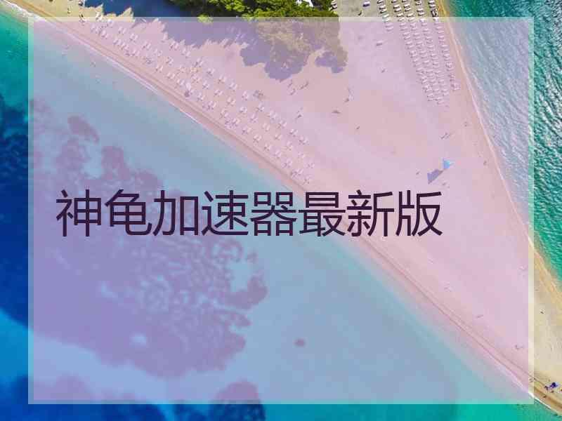 神龟加速器最新版