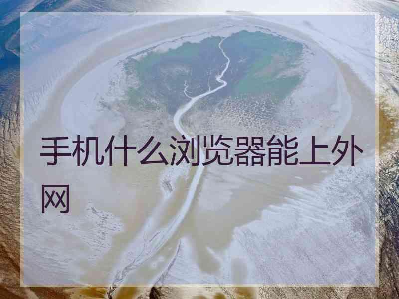 手机什么浏览器能上外网
